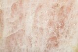 Polished Pink Beryl (Morganite) Section - Western Australia #317979-1